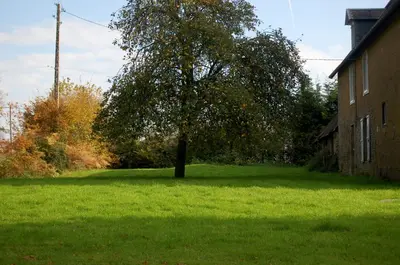 Jardin de l'établissement La Maison du Chene