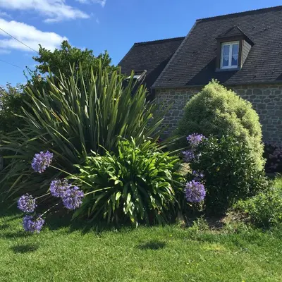 Jardin de l'établissement Villa Cotentin