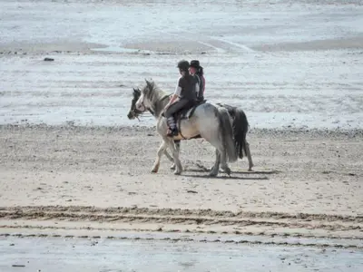 Équitation au sein de la maison de vacances ou à proximité