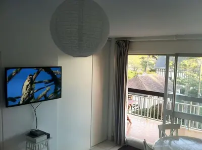 Télévision ou salle de divertissement dans l'établissement NICE FLAT 50M BEACH & CENTER