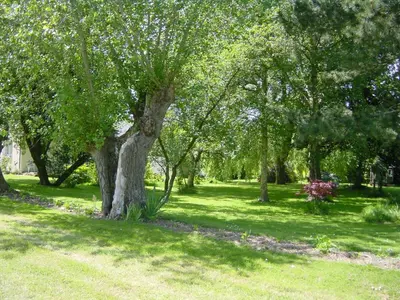 Jardin de l'établissement La maison dans le pré