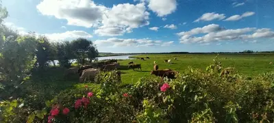 Paysage naturel près de la maison de vacances