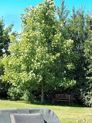Jardin de l'établissement Gîte d'Anne et Ulysse