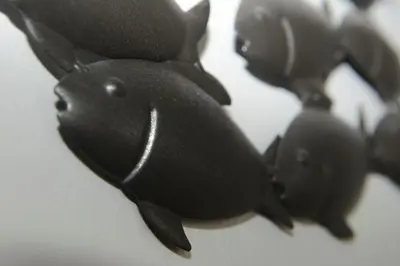 Animaux dans l'appartement ou à proximité