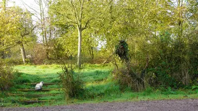 Paysage naturel près de la villa