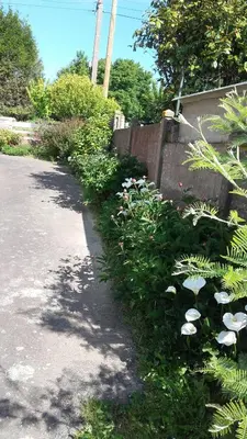 Jardin de l'établissement 