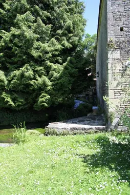 Jardin de l'établissement L'eau vive