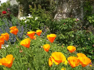 Jardin de l'établissement Villa Athéna,séjour bien-être et éthique