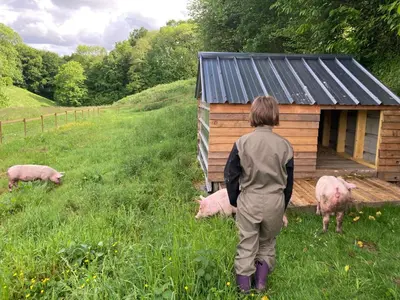 Animaux dans la maison de vacances ou à proximité
