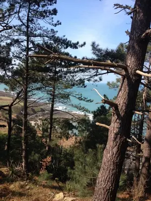 Paysage naturel près de la maison de vacances
