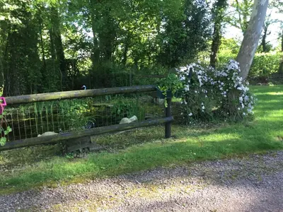 Jardin de l'établissement Chambre Melody