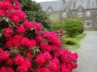 Jardin de l'établissement La Cour du Bourg