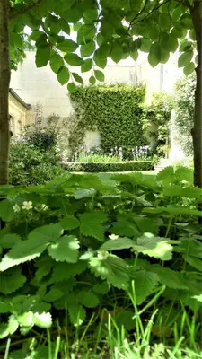 Jardin de l'établissement Les chambres de l'Abbaye