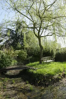 Paysage naturel près de le B&B/chambre d'hôtes