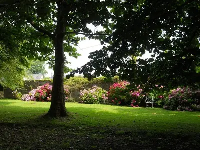 Jardin de l'établissement Manoir Saint Hubert