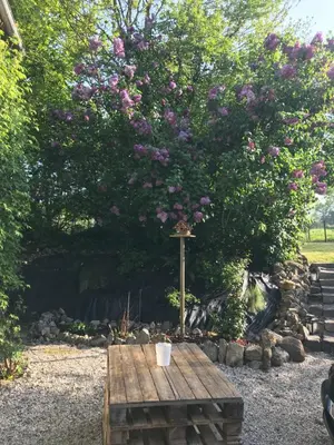 Jardin de l'établissement Chez Natacha et Adrien