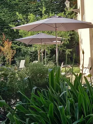 Jardin de l'établissement Le Petit Matin