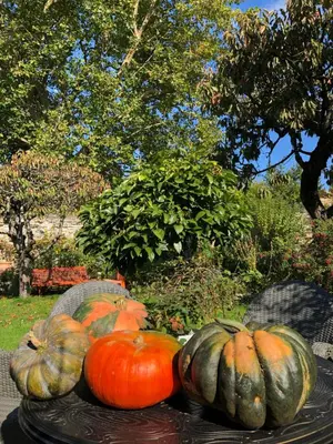 Jardin de l'établissement Aggarthi Bed and Breakfast