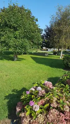 Jardin de l'établissement Le Gite de l'Etrier