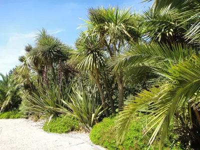 Jardin de l'établissement Gîte La Bourgetterie Fontenay sur Mer