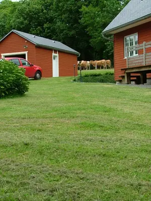 Jardin de l'établissement Saint Pierre House