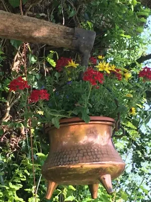 Jardin de l'établissement Normandy Inn