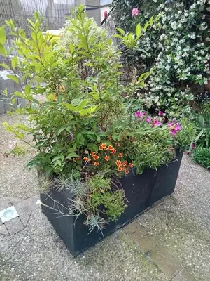 Jardin de l'établissement Les gîtes de Lyly