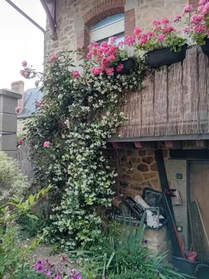 Jardin de l'établissement Les gîtes de Lyly