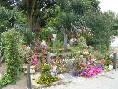 Jardin de l'établissement Camping Saint Michel