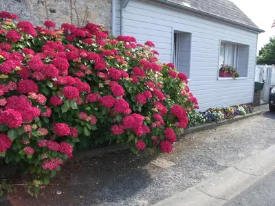 Jardin de l'établissement Les Hortensias 26
