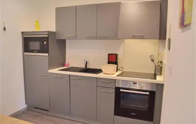 Cuisine ou kitchenette dans l'établissement 1 Bedroom Cozy Apartment In Sainteny