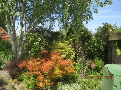 Jardin de l'établissement La Haute Gilberdière