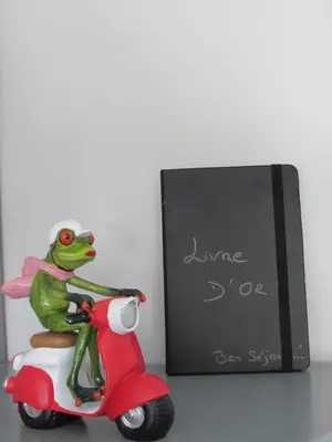 Plan de l'établissement Gîte de la Grenouille