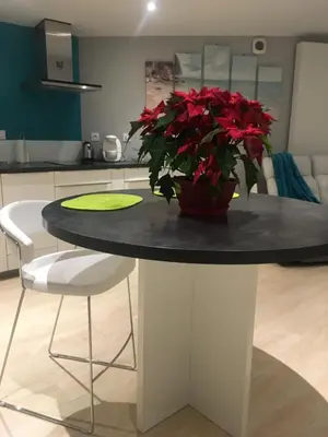 Cuisine ou kitchenette dans l'établissement Les Balcons de Saint Pair