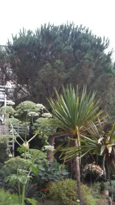 Jardin de l'établissement Gîte La Bertichère