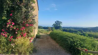 Paysage naturel près de le B&B/chambre d'hôtes