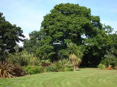 Jardin de l'établissement Manoir De Savigny