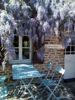 Jardin de l'établissement Gite Bleu