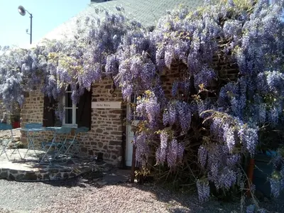 Jardin de l'établissement Gite Bleu