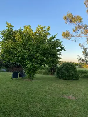 Jardin de l'établissement Gîte La Roche