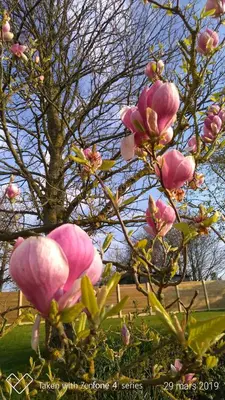 Jardin de l'établissement Gite LA CHARRETTERIE