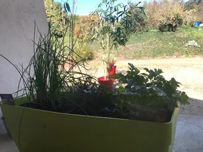 Jardin de l'établissement Normandia