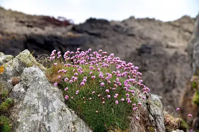 Paysage naturel près de la tente de luxe