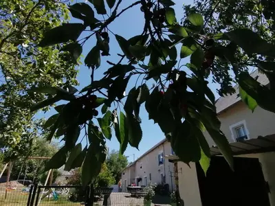 Quartier de le B&B/chambre d'hôtes ou autre quartier proche