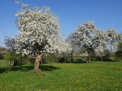 Jardin de l'établissement Charmante maison écologique avec jardin clos - FR-1-497-7