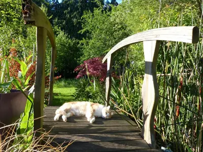 Animal ou animaux domestique(s) séjournant avec des clients dans l'établissement La Bergerie: Maison ancienne avec jardin anglais, 2 chambres - FR-1-497-35