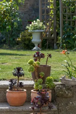 Jardin de l'établissement La Boudrie