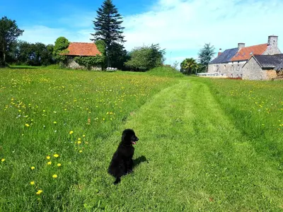 Animal ou animaux domestique(s) séjournant avec des clients dans l'établissement L' Anpeg, gîte dans le Cotentin jusqu'à 8 personnes