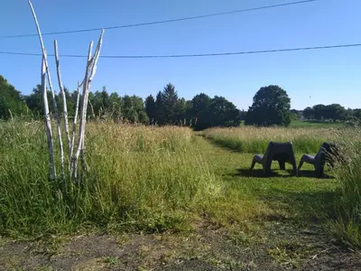Animaux dans la maison de vacances ou à proximité