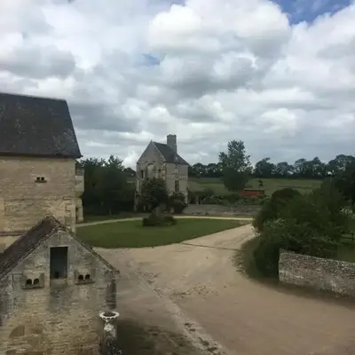 Boutons d'or